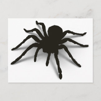 3D Spider Postcard