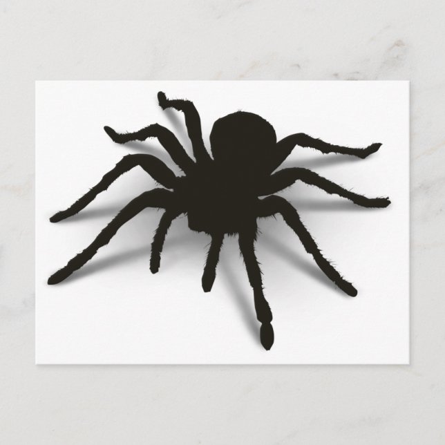 3D Spider Postcard (Front)