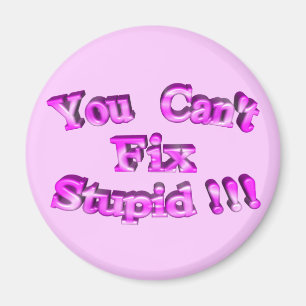 3D You Can't Fix Stupid !!! Magnet