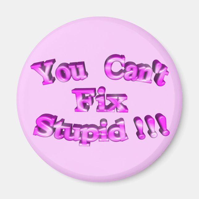 3D You Can't Fix Stupid !!! Magnet (Front)