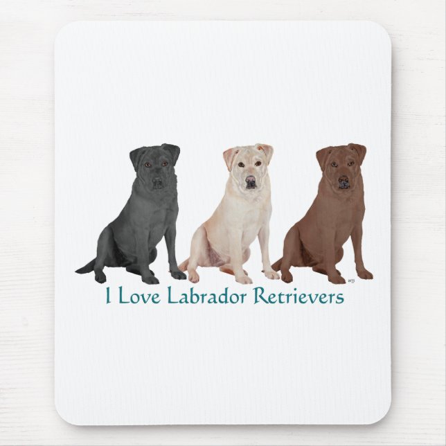 3Labs Mouse Pad (Front)