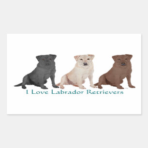 3Labs Rectangular Sticker