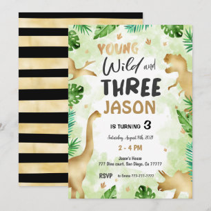 3rd Birthday, Dinosaur Birthday  Invitation