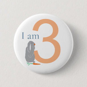 3rd Birthday Modern Minimal Grey Bunny 6 Cm Round Badge