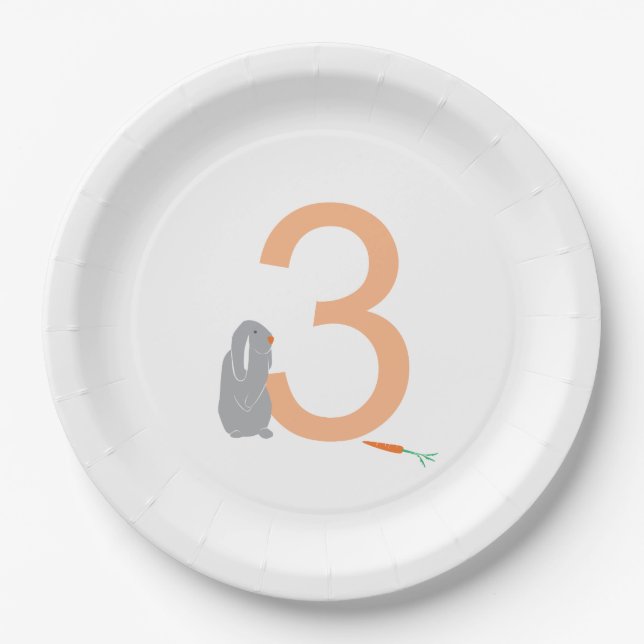 3rd Birthday Modern Minimal Grey Bunny  Paper Plate (Front)