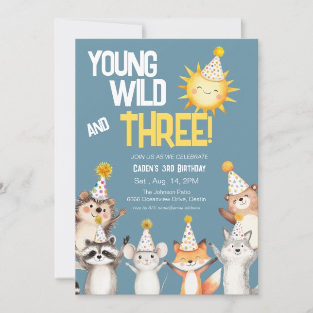 3rd Birthday Party Hats Forest Animals Birthday Invitation (Front)