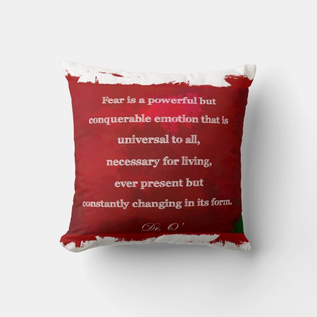 3sqMeals Pillow (Front)