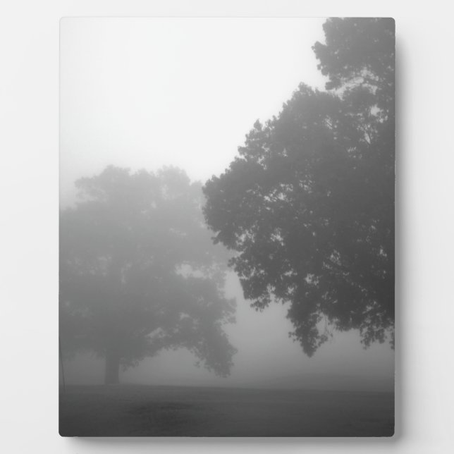 3trees plaque (Front)