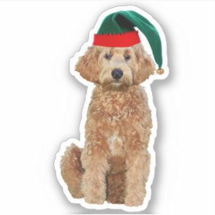 3x3 Custom Vinyl Sticker - Christmas golden doodle