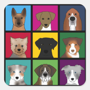 3x3 dogs square sticker