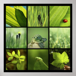 3x3 green nature photos Print