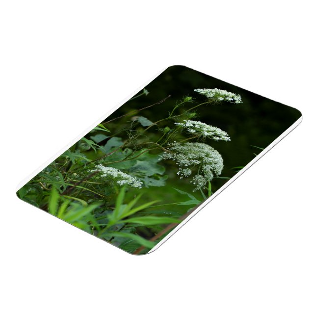 3x4 refrig magnet template (Left Side)