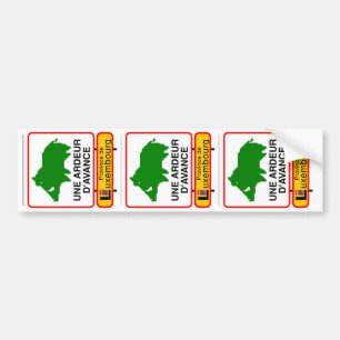 3x STICKER CAR - ADVANCE ARDER
