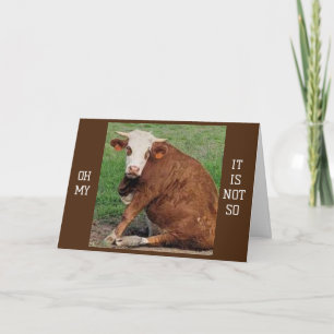 *40* BIRTHDAY HUMOR FROM A MOOING COW CARD