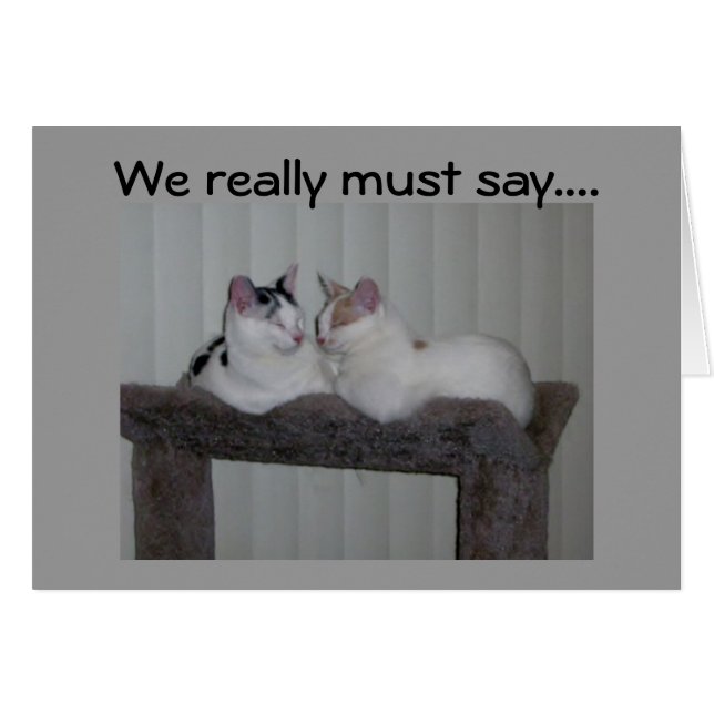 "40" LOOKS PURR-FECT ON YOU! (Front Horizontal)