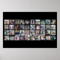 40 Photo Collage - 4 Rows 10 Columns - White Text