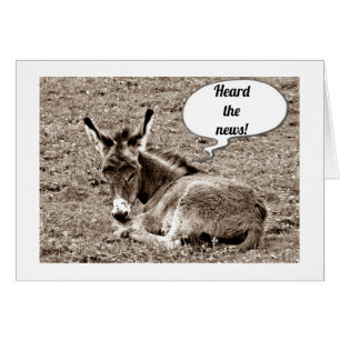 ***40TH*** BIRTHDAY ADVICES FROM BABY MULE