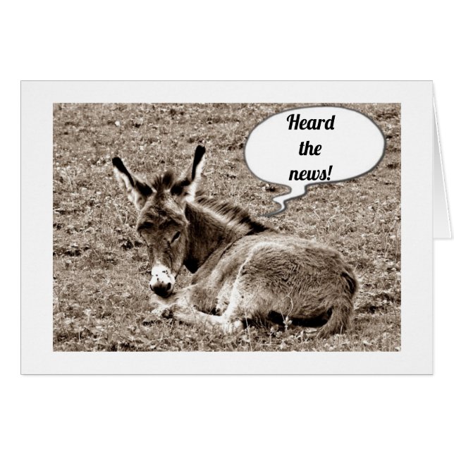 ***40TH*** BIRTHDAY ADVICES FROM BABY MULE (Front Horizontal)