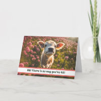 40th Birthday Cute Highland Calf Card