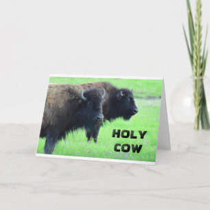 ****40th BIRTHDAY*** FROM COMEDIC BUFFALO Card