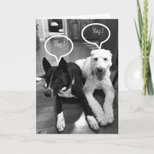 **40th** BIRTHDAY HUMOR FROM A COUPLE OF PUPS Card