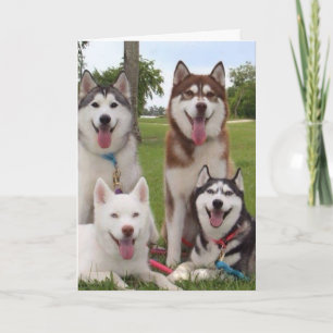 **40TH** BIRTHDAY HUMOR FROM SIBERIAN HUSKEY GROUP CARD