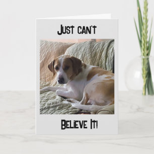 "40th BIRTHDAY??? JUST CAN'T BELIEVE IT Card