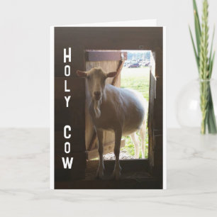 "40th BIRTHDAY??? JUST CAN'T BELIEVE IT Card