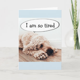 **40th BIRTHDAY** TIRED DOG IS A FUNNY DOG AS WELL Card