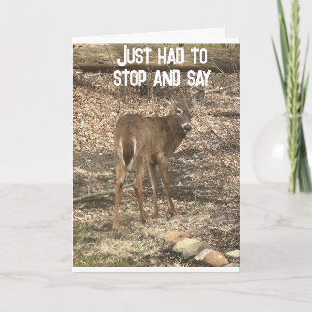 "40th BIRTHDAY WISHES" FROM a COOL DEER Card (Front)