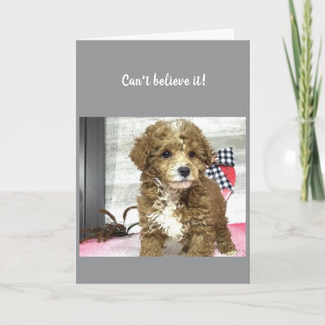 **40th** BIRTHDAY WISHES FROM A CUTE PUPPY Card (Front)