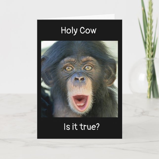 "40th BIRTHDAY WISHES" FROM SURPRISED MONKEY Card (Front)