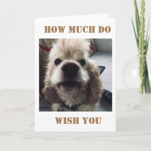 **40th BIRTHDAY** WOOF WOOF SAYS SPANIEL Card
