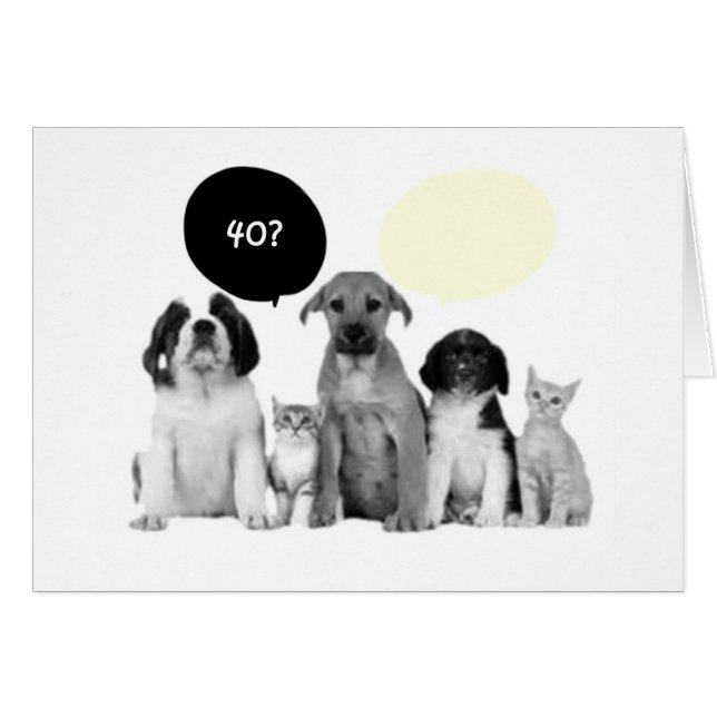 "40th" WOOF NEVER WOULD HAVE GUESSED (Front Horizontal)