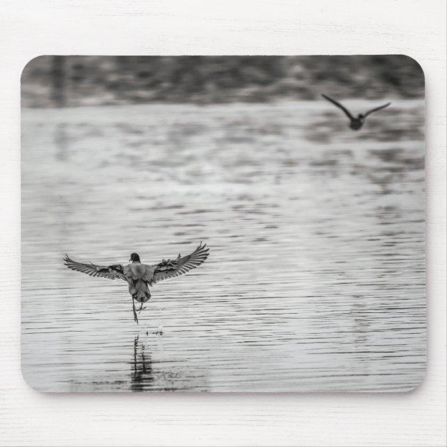 4297-Cormorant Taking Off from Pond Mouse Pad (Front)