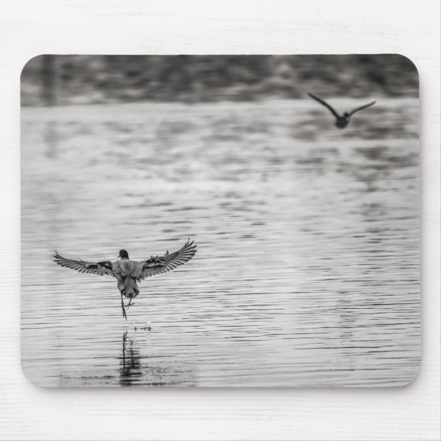 4297-Cormorant Taking Off from Pond Mouse Pad (Front)