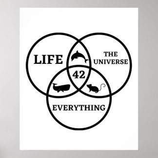 42 Answer to Life Universe and Everything Dont Pan Poster