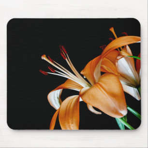 4464-Close up of Orange Lillies Mouse Pad