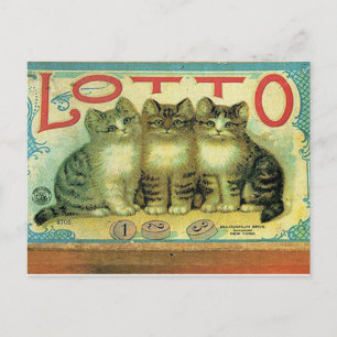 45 Pets Postcard