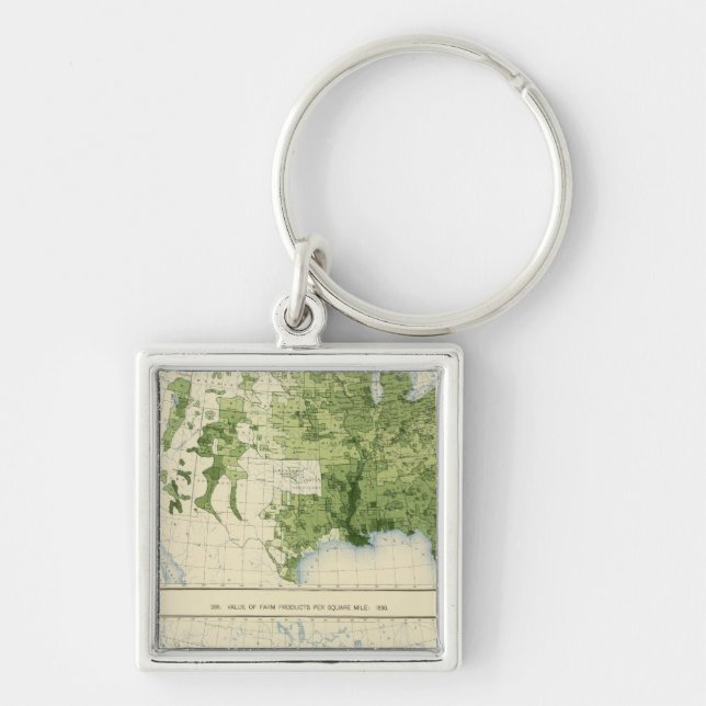 45 Value farm products 1890 Key Ring (Front)