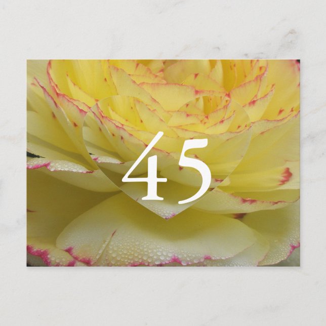 45th Birthday Postcard (Front)
