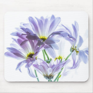 4721-High Key Pink Daisies Mouse Pad