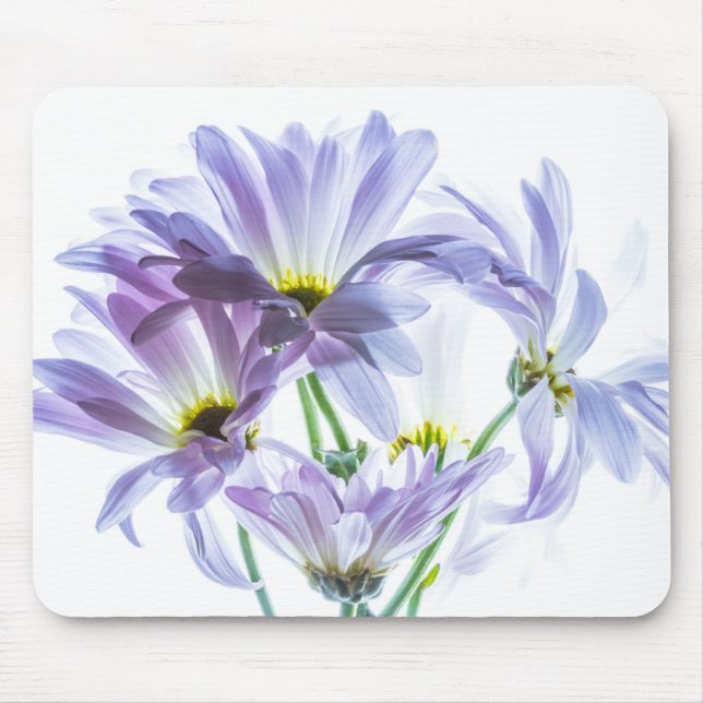 4721-High Key Pink Daisies Mouse Pad (Front)