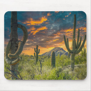 4792-2-Spur Cross Ranch, Cave Creek, Arizona Mouse Pad