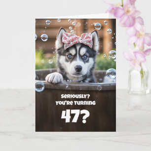 47th Birthday Cute and Funny Husky Dog in Tub Card