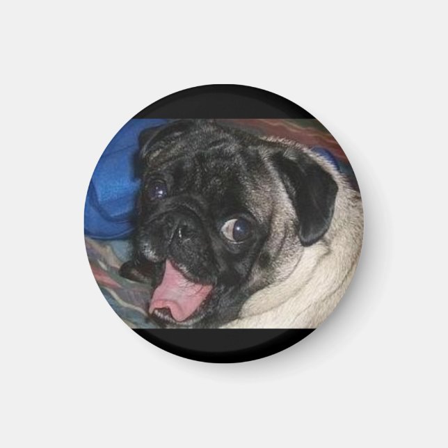 483814433_l magnet (Front)