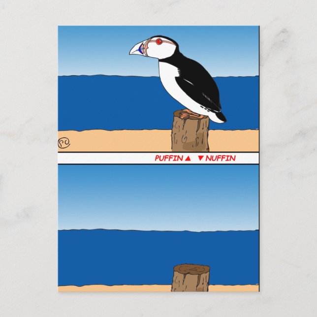 487 Puffin cartoon Postcard (Front)