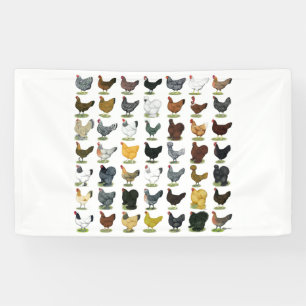 49 Chicken Hens Banner