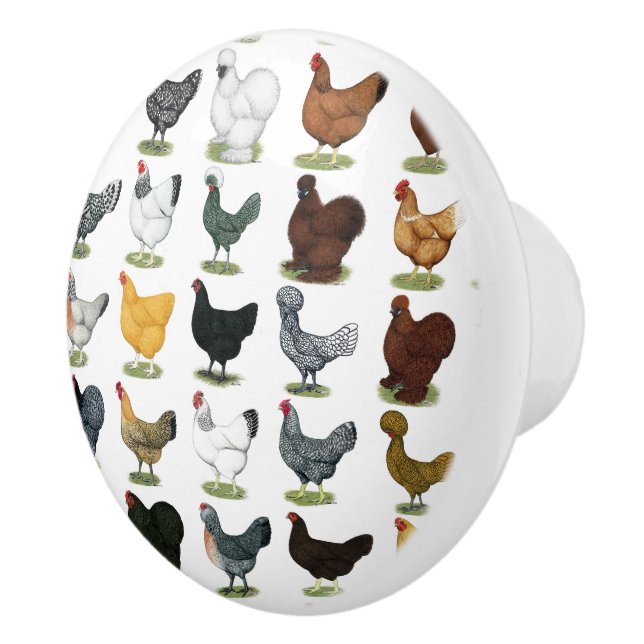 49 Chicken Hens Ceramic Knob (Right)