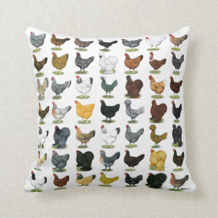 49 Chicken Hens Cushion